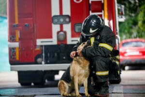 Fire Safety Tips