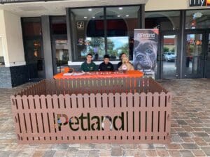 Petland Florida Brings Puppies to the Movies