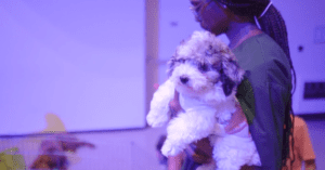 Petland Florida Attends Mayor’s Kids Day