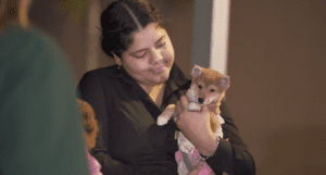 Petland Puppies Go to WOW Center Block Party