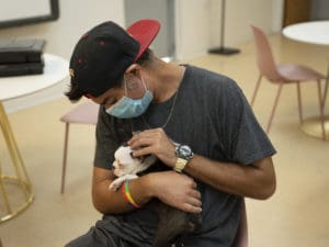 Petland Puppies Give WOW Center a Visit