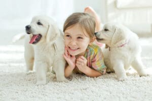 Prepare Your Home for a Puppy