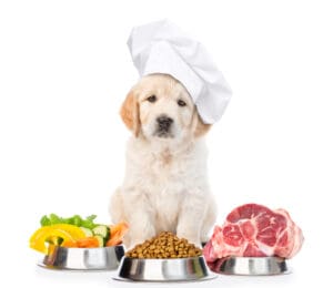 6 Ways to Improve Your Puppy’s Diet