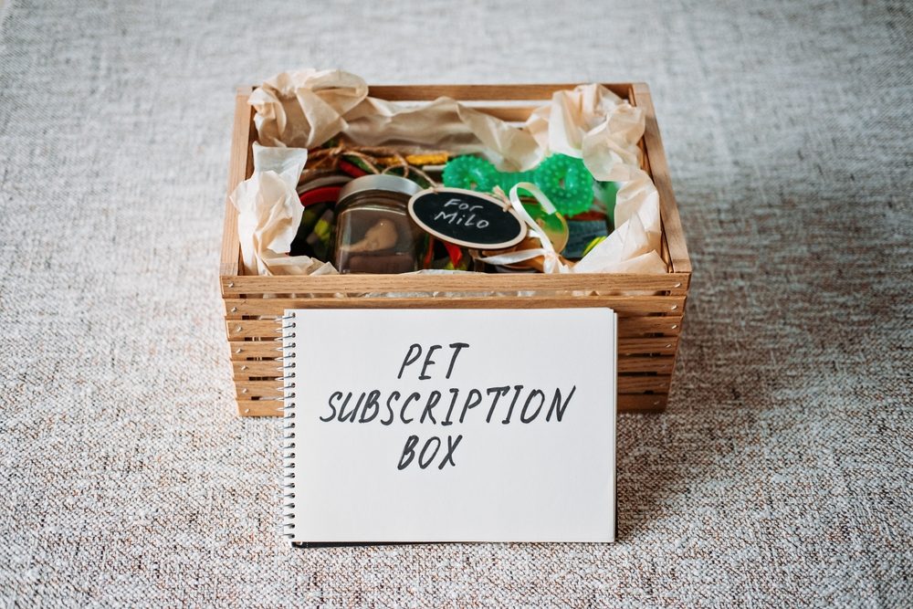 A great holiday gift for your puppy is to get him a dog supply subscription from a reputable company like Barkbox or Sundays, as featured here in this image. 
